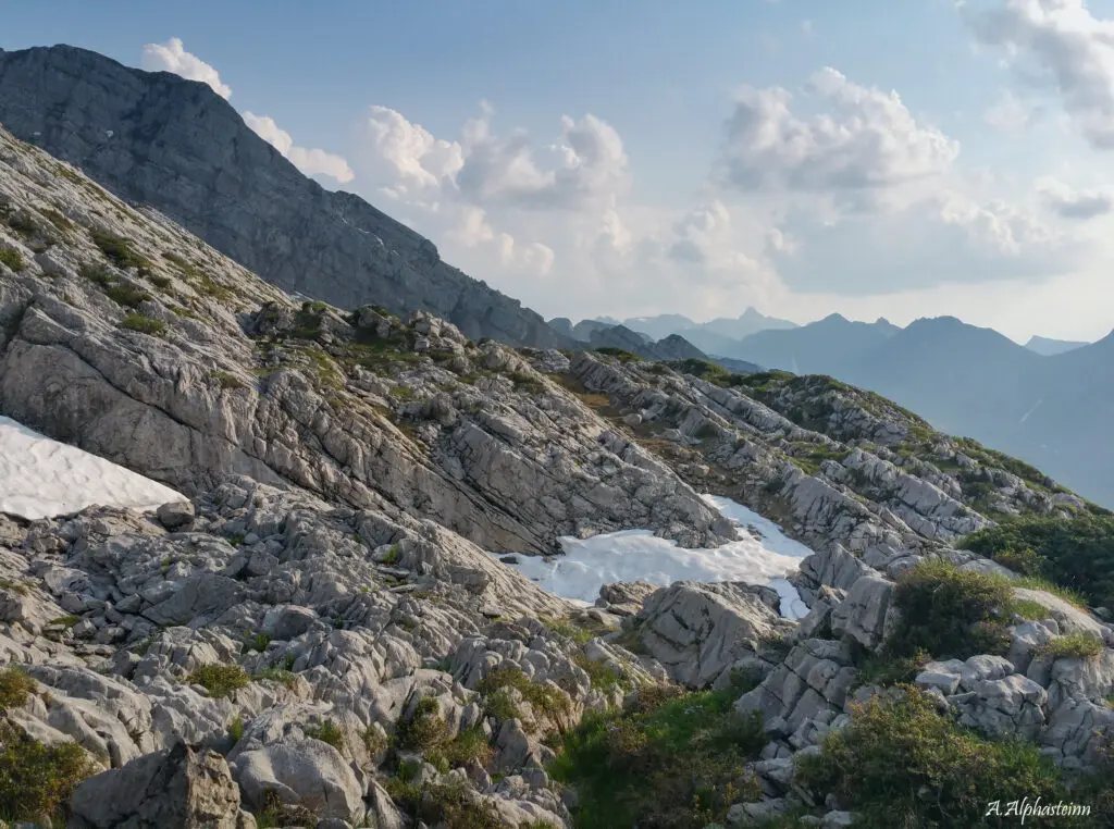 20170621_190946(0)_raw